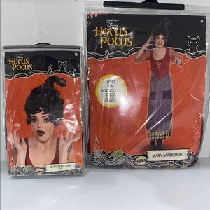 Disney Hocus Pocus Mary Sanderson Costume
